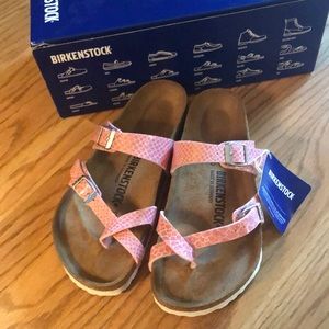 Birkenstock New In Box Retired print
